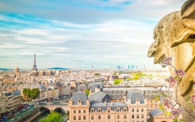 Paris, capitale des chats : Les félins cachés de la Ville Lumière
